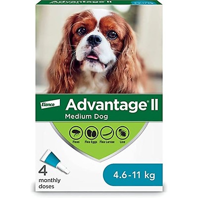 K9 Advantix II Flea and Tick Treatment for Small Dogs 