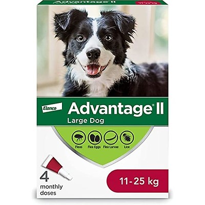 Advantage ii store small dog instructions