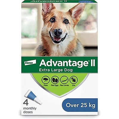 Dog sensitive to flea treatment best sale