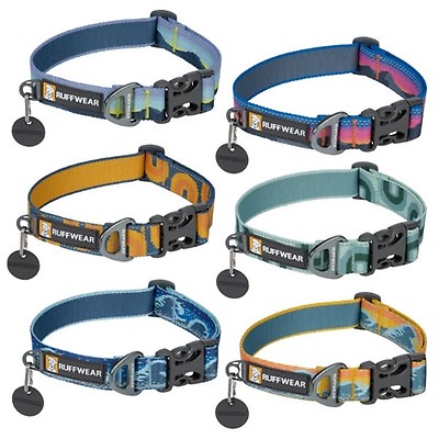 Buy Horze Noir Dog Collar with Stars