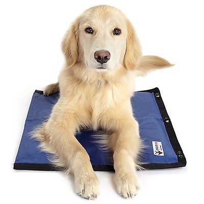 Coolin pet outlet pad