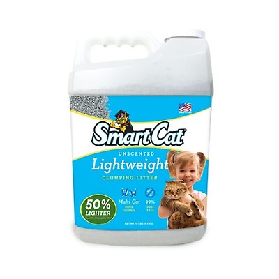 Pioneer Pet SmartCat All Natural Clumping Litter Buy at Homesalive