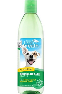 Bluestem dog teeth on sale cleaner