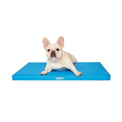 Ice pad deals for dogs