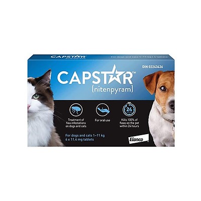 Parapet K9 Praventa 360 Flea Tick Treatment for Medium Dog