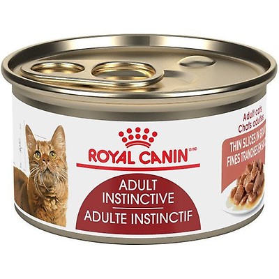 Royal fashion canin aging cat food