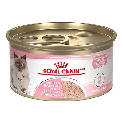 Kmr kitten clearance food