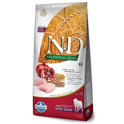 N & d outlet dog food pumpkin formula