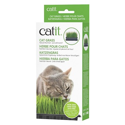 Catit Senses 2.0 Grass Planter for Cats | Buy at Homesalive.ca