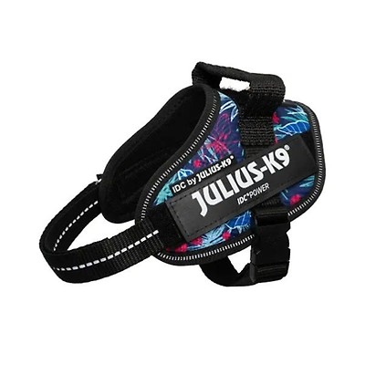 Julius K9 IDC Powerharness Red Buy at Homesalive