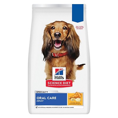 Royal Canin Dental Care Large Breed Adult Dog Food | Buy at