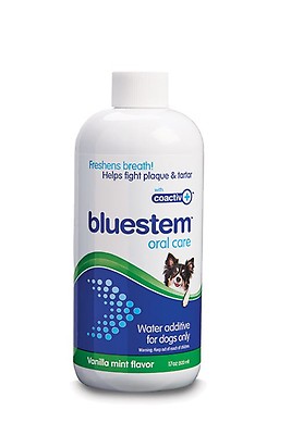 Chlorhexidine water additive for dogs best sale