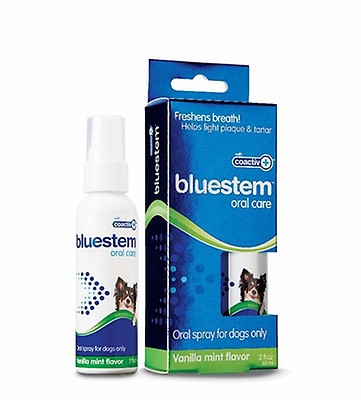 True dog best sale dental spray