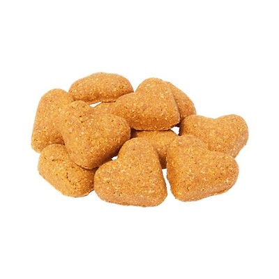 Darford Grain Free Dog Biscuits Salmon Vegetable Buy at Homesalive