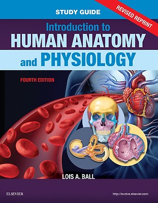 Human Anatomy & Physiology Textbook sale Bundle