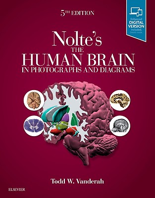 Nolte's The Human Brain: 8th edition | Todd W. Vanderah Nolte's The Human Brain: 8th edition | Todd W. Vanderah