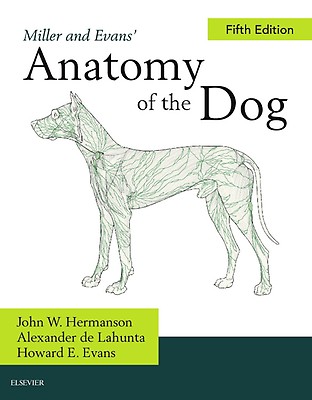 洋書 Canine Rehabilitation & Physical Therapy Canine Rehabilitation and Physical Therapy: 9781437703092