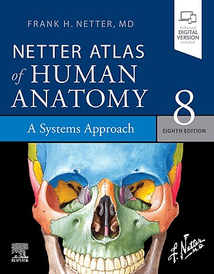 GRAY'S ANATOMY フラッシュカード 第5Gray's 恨めしく Anatomy