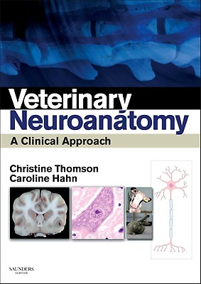 Small Animal Surgery: 5th edition | Theresa Welch Fossum