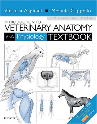 Medical Imaging of Normal and Pathologic Anatomy: 1st Medical Imaging of Normal and Pathologic Anatomy: 1st
