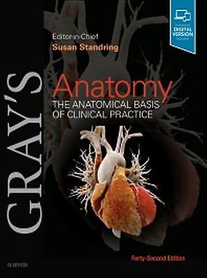 【新品未開封・コード未使用】Gray’s Anatomy42nd Edition NO CODE sneakers brand TOD'S — Globalbrandsstore.com/en