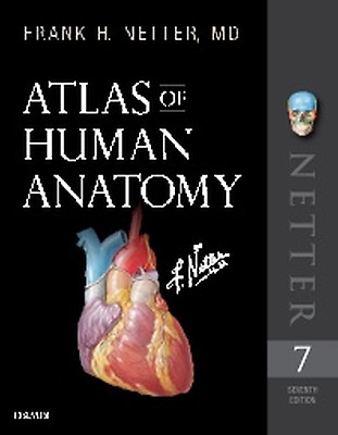 Netter Atlas of Human Anatomy: A Systems Approac: 8th