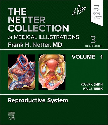 clinician’s brief vol.3 Vertebral Heart Scale Reference Intervals for Small Breed Dogs