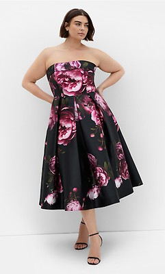 Women's Plus Size Hydrangea Fit & Flare Dress Black
