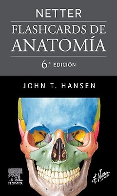 Atlas De Anatomía Netter Atlas De Anatomia Humana