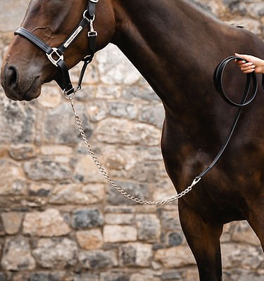Ice-Vibe® Kühlpacks – Horseware Ireland