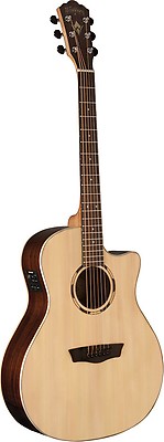 Washburn ea20snb new arrivals