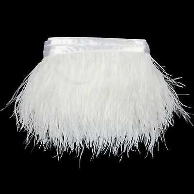HAPPY FEATHER 2 Yards 5-6inch White Ostrich Feathers Trim Fringe for DIY  Dress Sewing Crafts Costumes Decoration in 2023