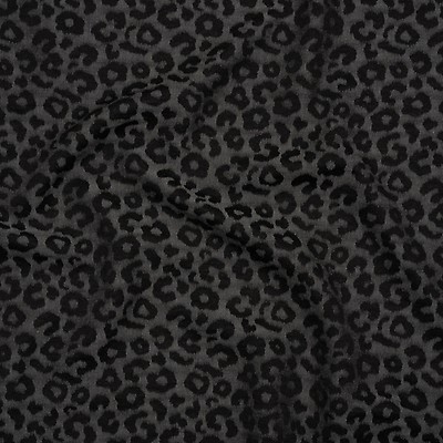 Pewter/Black Jaguar Printed Novelty Knit
