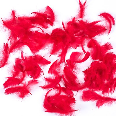 Pink and Brown Feathers 4-5 inches 2 per bag - #3-6