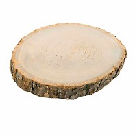 Centre de Table Rondin de Bois Jour de Fête Végétal Centre de Table Rond en Bois Jour de Fête Centres de