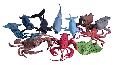 Sea and Ocean Set - 11 Piece Set | Animals | Cosy Direct
