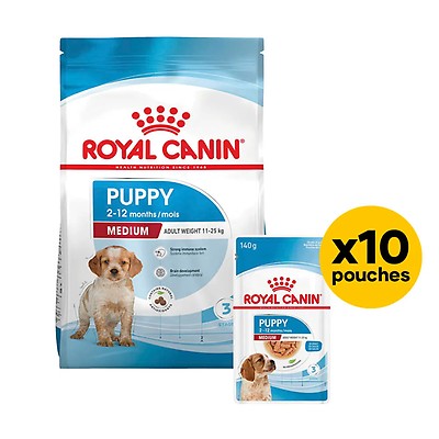 Royal Canin DOG Maxi 15kg Dry Food Bundle