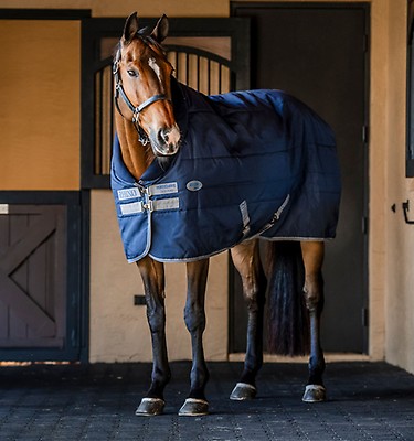 Rhino® Stable 250g Vari-Layer – Horseware Ireland - US