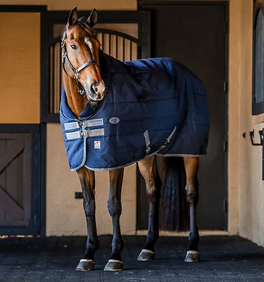 Rhino® Stable 250g Vari-Layer – Horseware Ireland - US