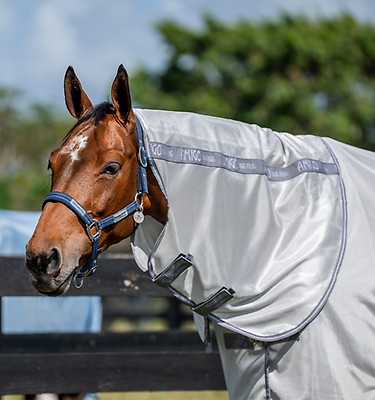 Amigo® Bug Rug Hood – Horseware Ireland - US