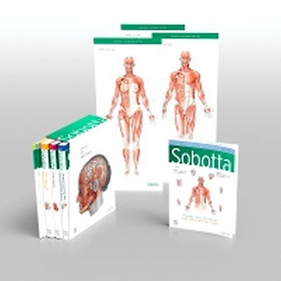 eBook: Sobotta - Atlante di Anatomia Umana von Friedrich Paulsen, ISBN  978-88-214-3450-1