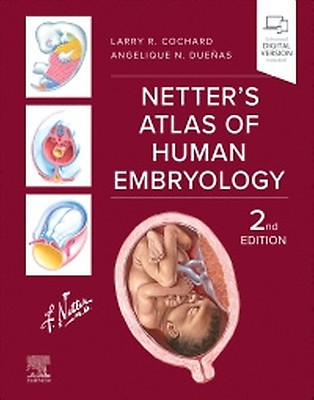 Human Embryology and Developmental Biology - 9780323881685 