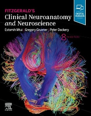 Fitzgerald's Clinical Neuroanatomy and Neuroscience - 9780443378232
