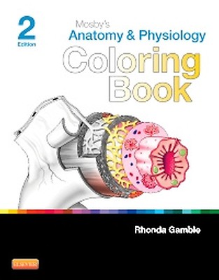 Netter's Anatomy Coloring Book [Book]