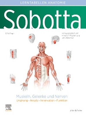 Sobotta Malbuch Anatomie - 9783437412646