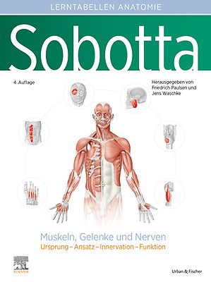 Sobotta Lernposter Anatomie - 9783437441905