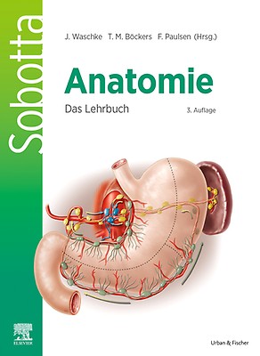 健康・医学 Sobotta Malbuch Anatomie Elsevier Sobotta Malbuch Anatomie by Kretz, Oliver, Keller