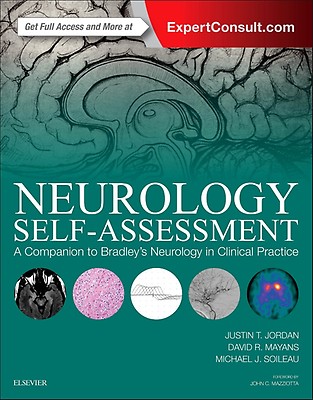 Mobilisation of the Nervous System: 1st edition | David