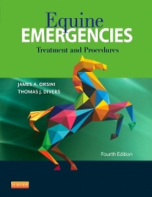 Functional Occlusion in Restorative Dentistry an: 1st edition