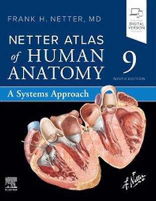 Atlas of Human Anatomy E-Book: 7th edition | Frank H. Netter